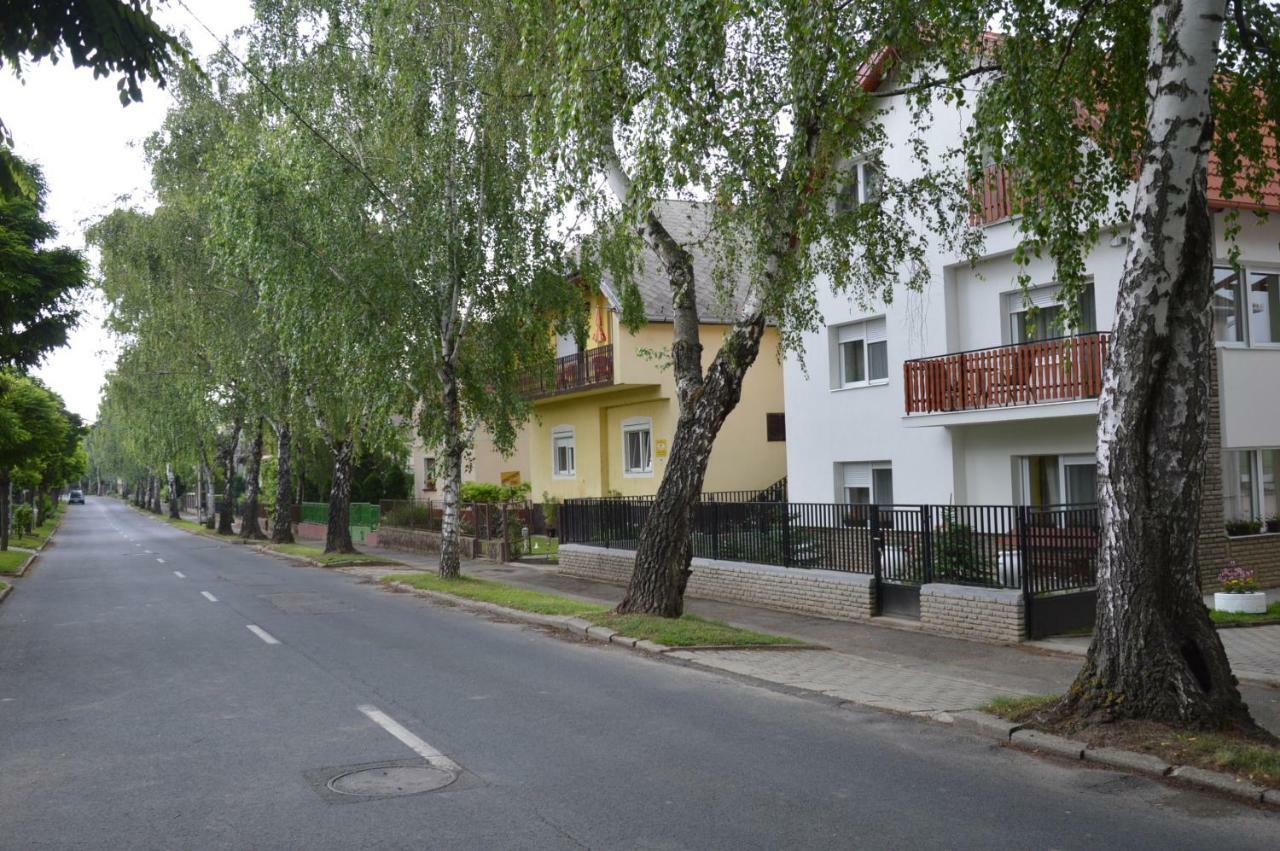 Apartment Varga *